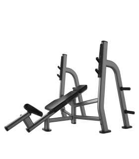 Banc musculation incliné PRO - CARE - Pectoraux à charge libre