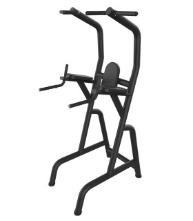 Roman Chair - CARE - Buik- en Rugspieren en Dips