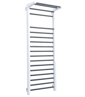 Fitness Espalier - CARE - Metaal met optrekstang