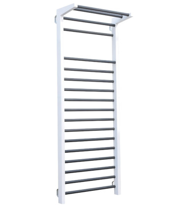 Fitness Espalier - CARE - Metaal met optrekstang