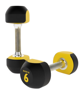 Bi-Color Dumbells - Polyurethaan