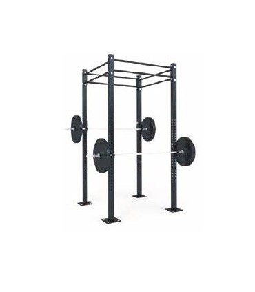 FUNCTIONAL STRUCTURE- B1