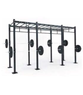 FUNCTIONAL STRUCTURE- D3