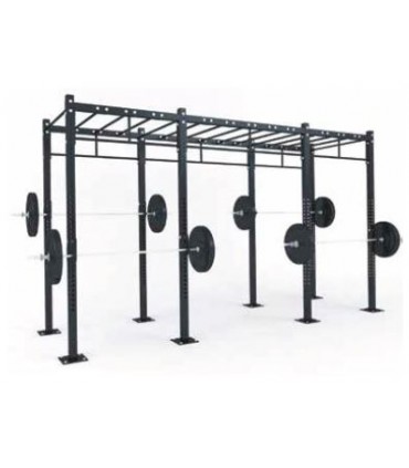 FUNCTIONAL STRUCTURE- D3