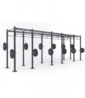 FUNCTIONAL STRUCTURE - C5