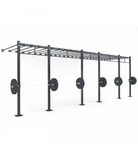 FUNCTIONAL STRUCTURE - C10