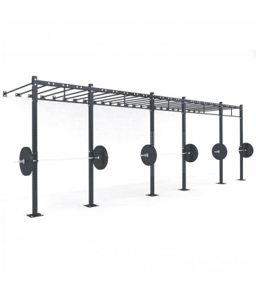 FUNCTIONAL STRUCTURE - C10