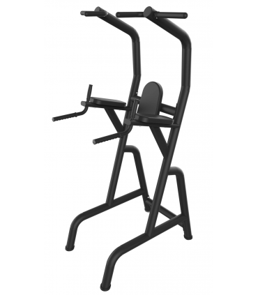 Roman Chair PRO - CARE - Buik-Rug en Dips Station